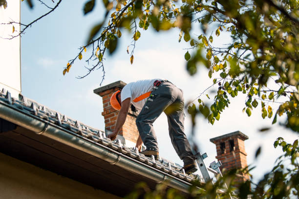 Best Flat Roof Repair Services  in Valley City, ND